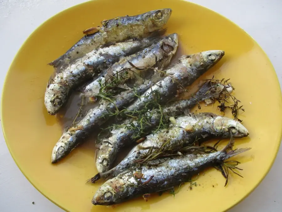 Assiette jaune de sardines grillées aux herbes, poisson gras riche en vitamine D