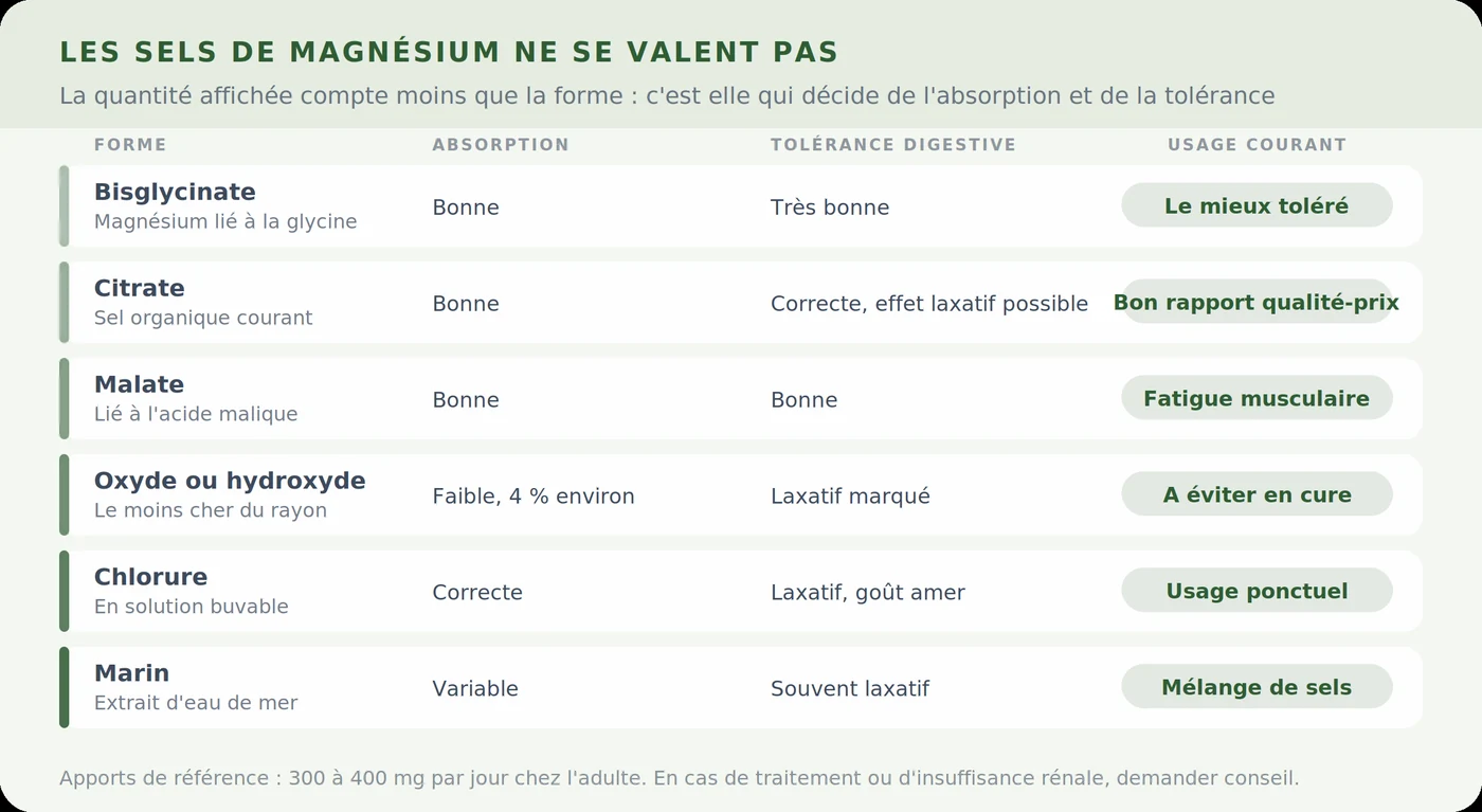 Les formes de magnésium et leur absorption