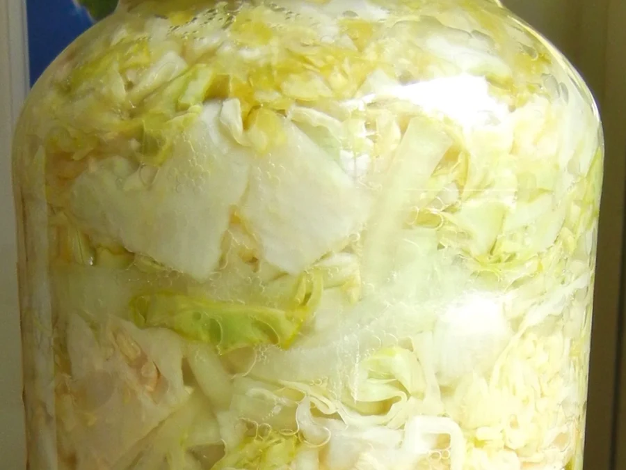 Bocal de choucroute crue en lactofermentation, chou blanc émincé immergé dans sa saumure