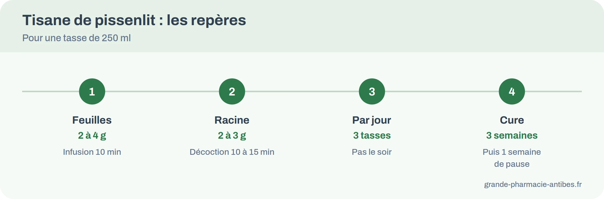 Fiche de préparation de la tisane de pissenlit : dose, eau, temps d'infusion ou de décoction, durée de la cure